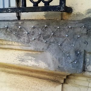 Reconstitution de moulures d'un seuil de fenêtre à Aix-en-Provence